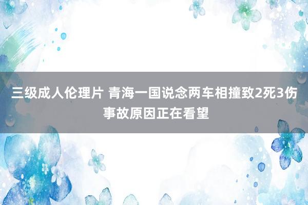 三级成人伦理片 青海一国说念两车相撞致2死3伤 事故原因正在看望