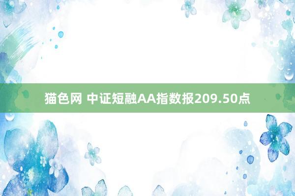 猫色网 中证短融AA指数报209.50点