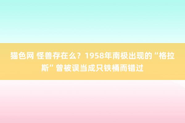 猫色网 怪兽存在么？1958年南极出现的“格拉斯”曾被误当成只铁桶而错过