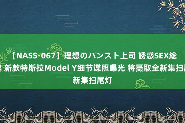 【NASS-067】理想のパンスト上司 誘惑SEX総集編 新款特斯拉Model Y细节谍照曝光 将摄取全新集扫尾灯