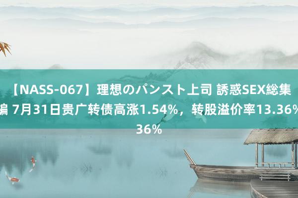 【NASS-067】理想のパンスト上司 誘惑SEX総集編 7月31日贵广转债高涨1.54%，转股溢价率13.36%