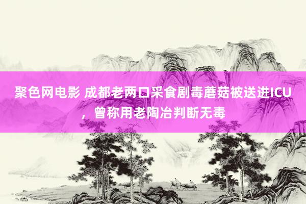 聚色网电影 成都老两口采食剧毒蘑菇被送进ICU，曾称用老陶冶判断无毒