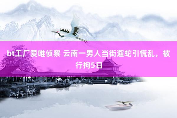 bt工厂爱唯侦察 云南一男人当街遛蛇引慌乱，被行拘5日