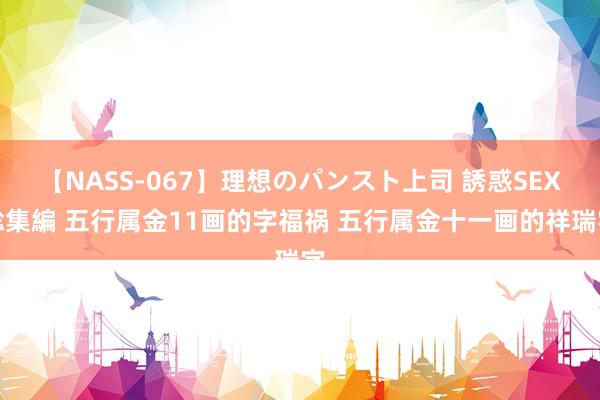 【NASS-067】理想のパンスト上司 誘惑SEX総集編 五行属金11画的字福祸 五行属金十一画的祥瑞字