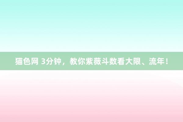 猫色网 3分钟，教你紫薇斗数看大限、流年！