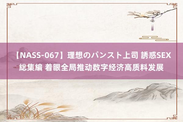 【NASS-067】理想のパンスト上司 誘惑SEX総集編 着眼全局推动数字经济高质料发展