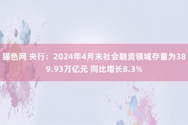 猫色网 央行：2024年4月末社会融资领域存量为389.93万亿元 同比增长8.3%