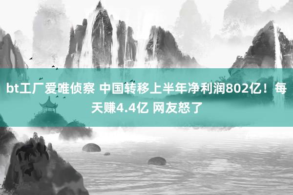 bt工厂爱唯侦察 中国转移上半年净利润802亿！每天赚4.4亿 网友怒了