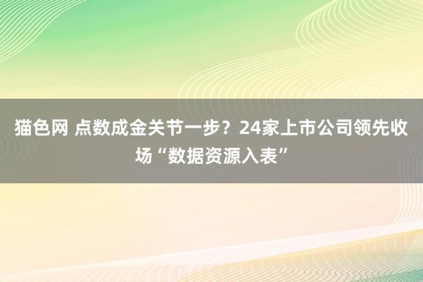 猫色网 点数成金关节一步？24家上市公司领先收场“数据资源入表”