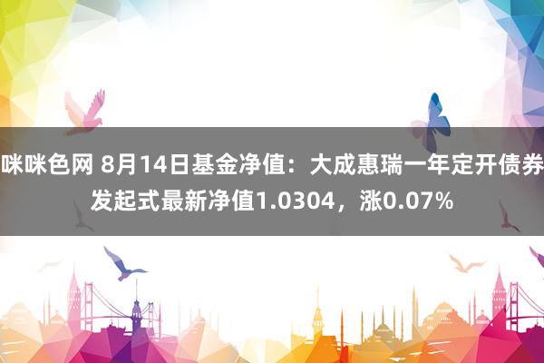 咪咪色网 8月14日基金净值：大成惠瑞一年定开债券发起式最新净值1.0304，涨0.07%