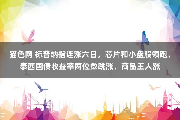 猫色网 标普纳指连涨六日，芯片和小盘股领跑，泰西国债收益率两位数跳涨，商品王人涨