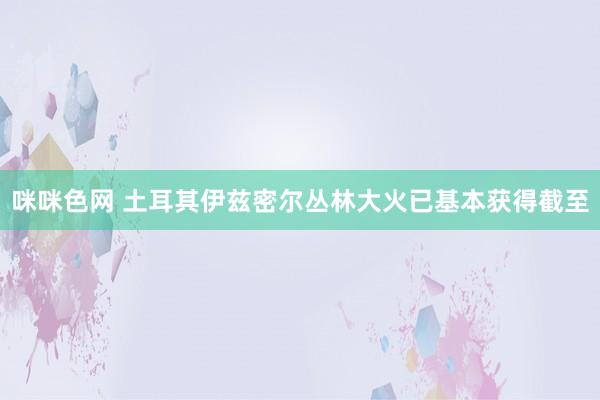 咪咪色网 土耳其伊兹密尔丛林大火已基本获得截至