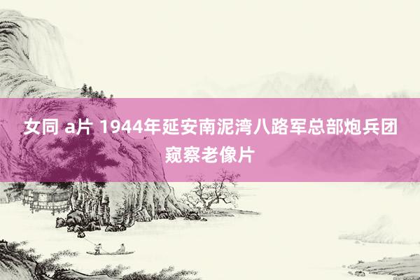 女同 a片 1944年延安南泥湾八路军总部炮兵团窥察老像片