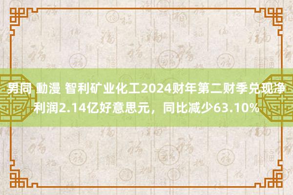 男同 動漫 智利矿业化工2024财年第二财季兑现净利润2.14亿好意思元，同比减少63.10%