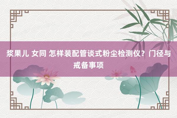 浆果儿 女同 怎样装配管谈式粉尘检测仪？门径与戒备事项