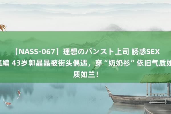 【NASS-067】理想のパンスト上司 誘惑SEX総集編 43岁郭晶晶被街头偶遇，穿“奶奶衫”依旧气质如兰！