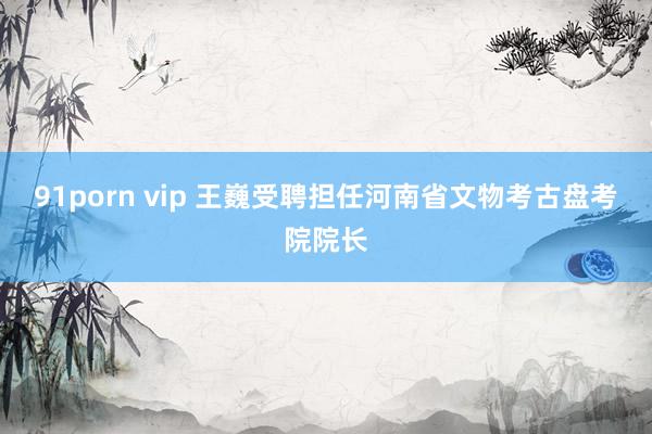 91porn vip 王巍受聘担任河南省文物考古盘考院院长