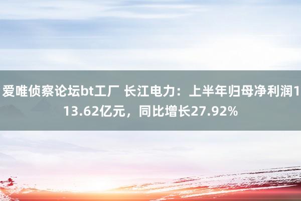 爱唯侦察论坛bt工厂 长江电力：上半年归母净利润113.62亿元，同比增长27.92%