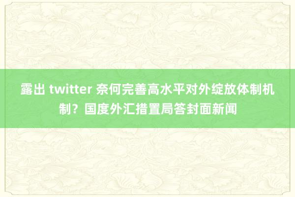 露出 twitter 奈何完善高水平对外绽放体制机制？国度外汇措置局答封面新闻