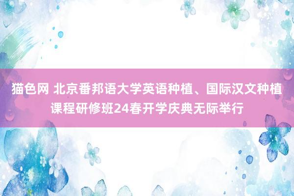 猫色网 北京番邦语大学英语种植、国际汉文种植课程研修班24春开学庆典无际举行