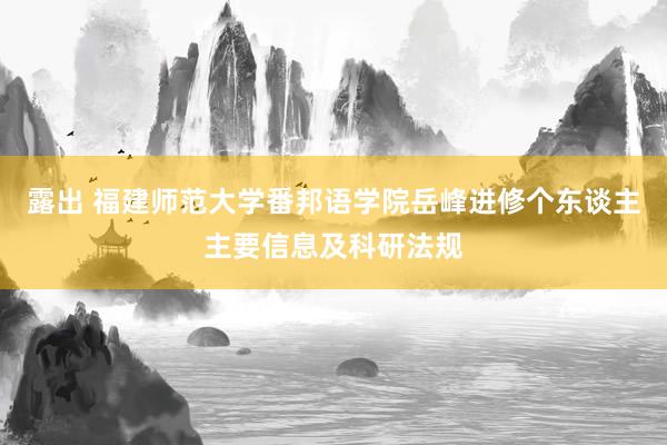 露出 福建师范大学番邦语学院岳峰进修个东谈主主要信息及科研法规