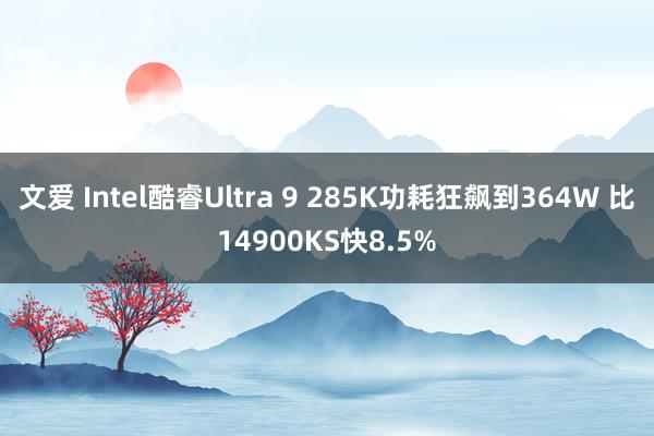 文爱 Intel酷睿Ultra 9 285K功耗狂飙到364W 比14900KS快8.5%